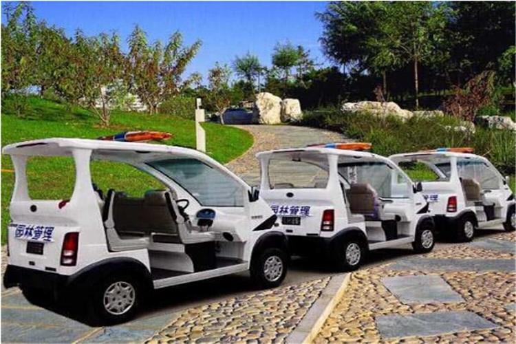 山東電動巡邏車